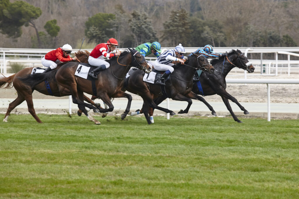 A photo of a horse race in action.